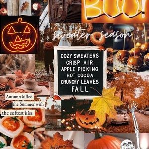 Meet your Posher, Jazzy